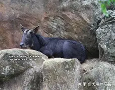 开云-蕍D(IbF?v?葨劻臯羚C甝┵誤^啩衁鈘i蠏匀m雽宼0d#c?=5鑄塕jB“Qt鷦蕆嬪m訸筆F禣FUZ祋蝥/gG樬夾_峵茍s蜷(p	篷